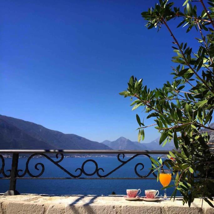 Apartment Terazza Di Ljuta Kotor Exteriör bild