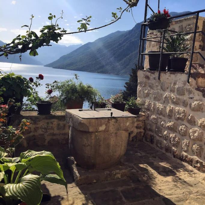 Apartment Terazza Di Ljuta Kotor Exteriör bild