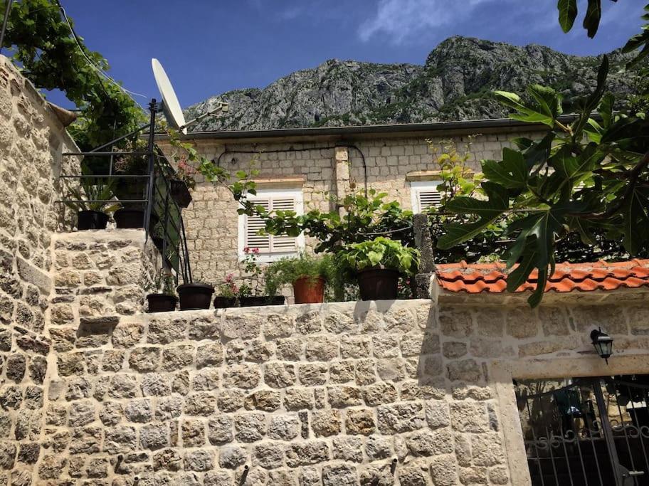 Apartment Terazza Di Ljuta Kotor Exteriör bild