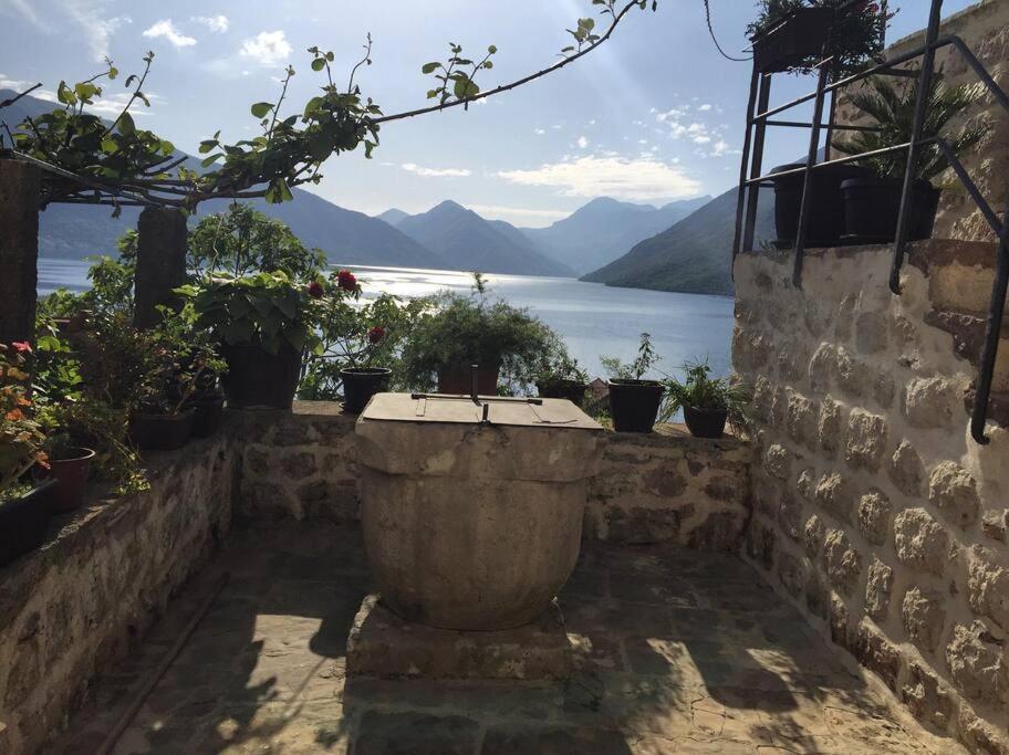 Apartment Terazza Di Ljuta Kotor Exteriör bild